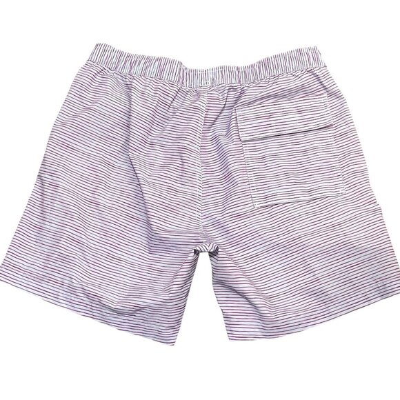 Psycho Bunny Mens Lucas Swim Shorts Blue Purple Stripe Sz M Unlined 6" Inseam - Picture 7 of 8
